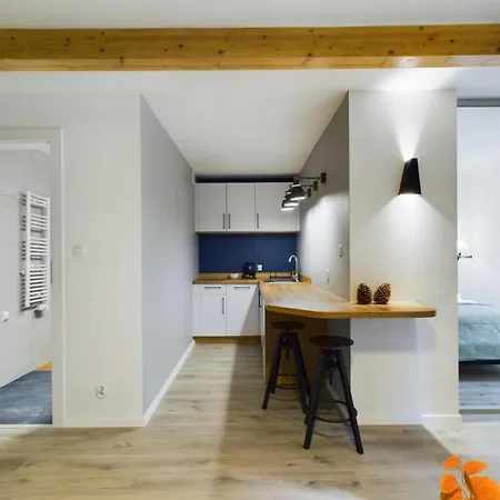 Appartamento Familly Dabrowka - Przy Parku, Prywatny Parking, Sauna, Ogod - By Spaceapart *