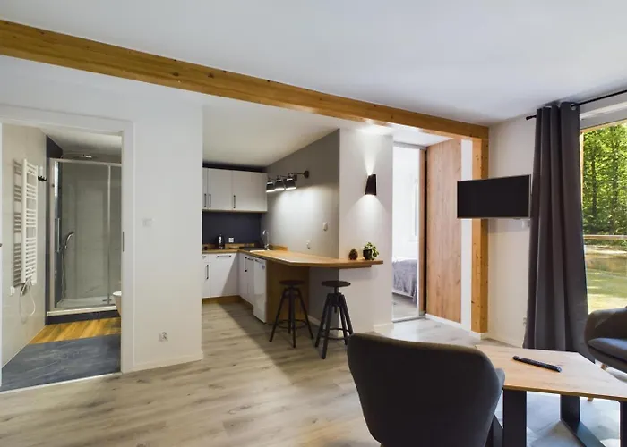 Apartmán Familly Dabrowka - Przy Parku, Prywatny Parking, Sauna, Ogod - By Spaceapart Jelení Hora