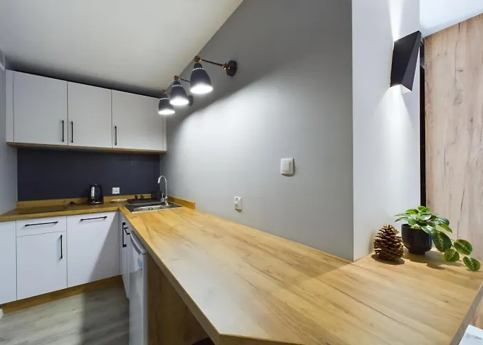 Familly Dabrowka - Przy Parku, Prywatny Parking, Sauna, Ogod - By Spaceapart Apartmán